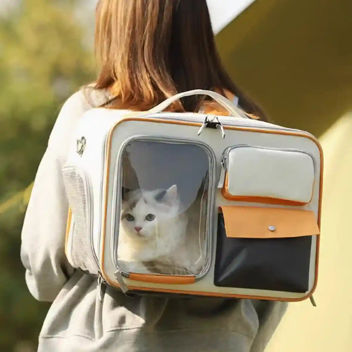 Large Canvas Pet Backpack Carrier
