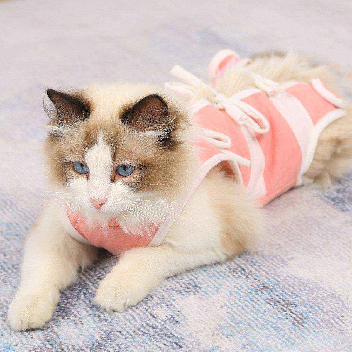 Breathable Anti-Slip Anti-Scratch Pet Neutering Recovery Suit for Cats and Dogs
