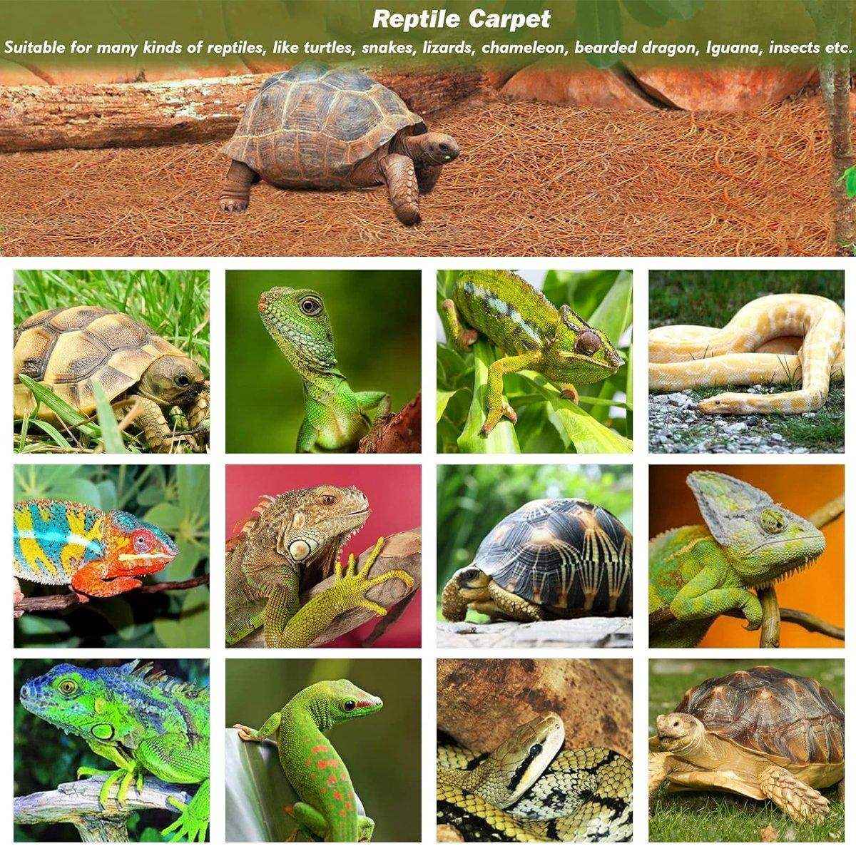 Durable and Foldable Reptile Carpet