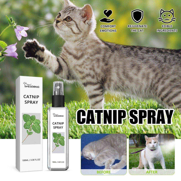 View of Calming Catnip Spray for Cats | Natural Stress Relief & Playtime ...