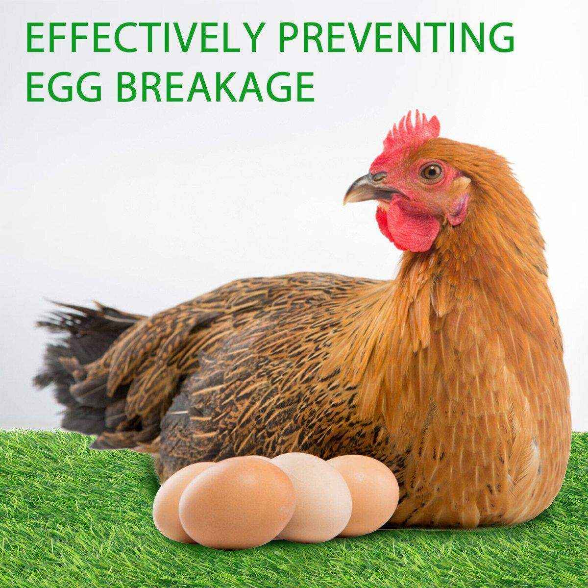 Washable Nesting Mat for Chicken Coops and Small Pets