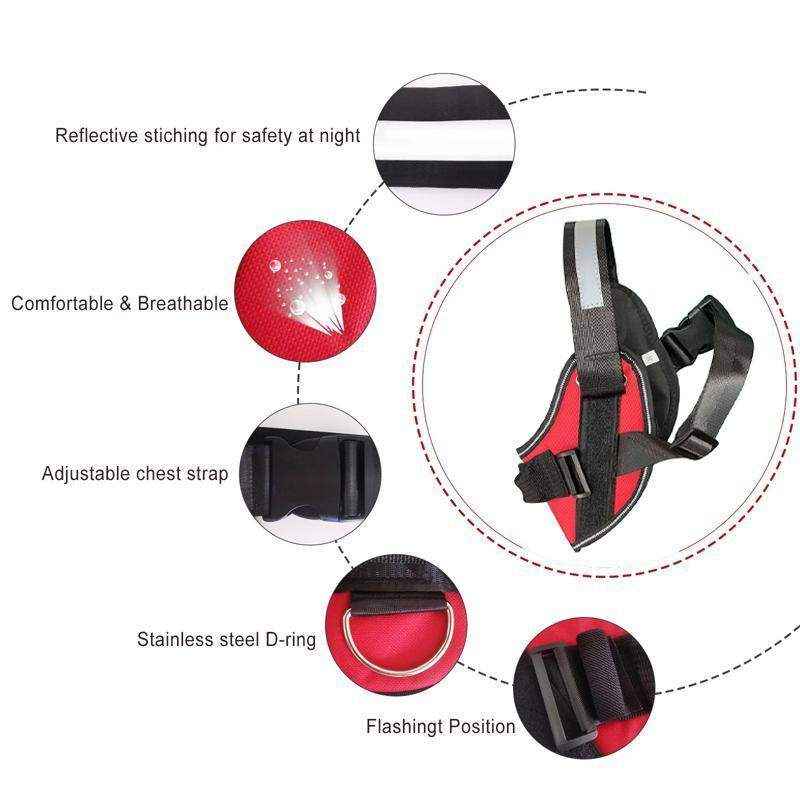 Adjustable No Pull Harness for Medium Dogs Comfortable & Breathable