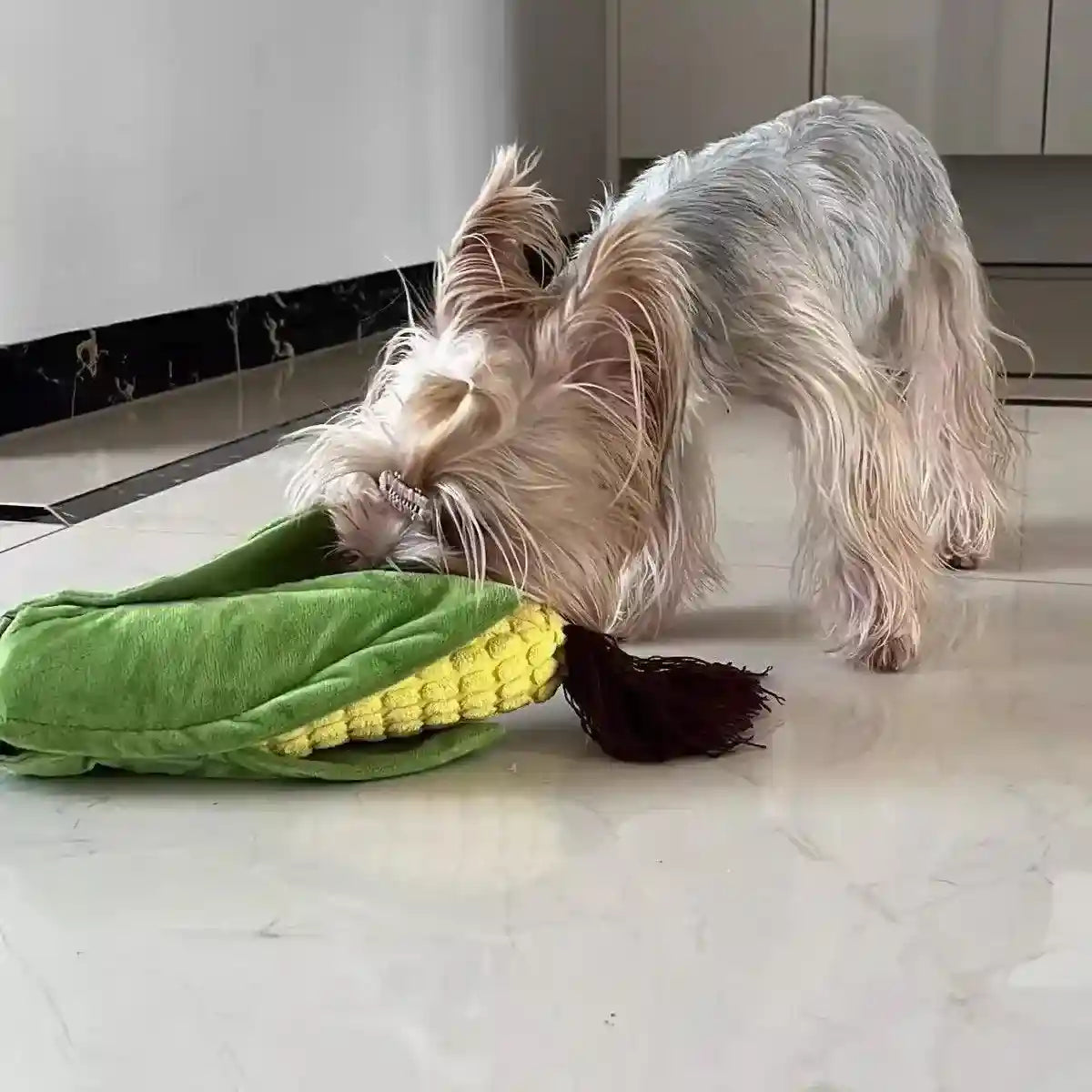 Yellow & Green Corn Puppy Chew Toy Dog Toy