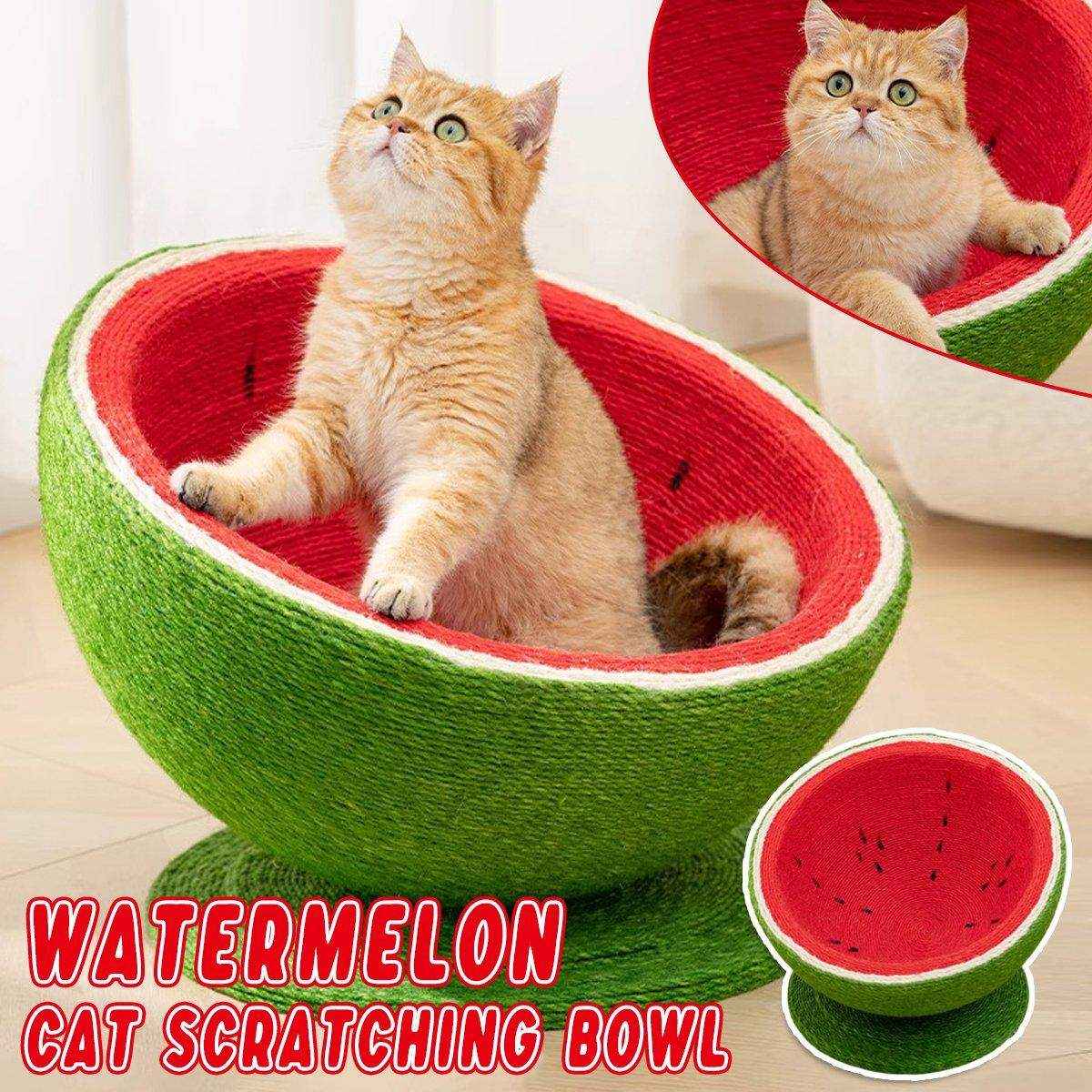 Watermelon Cat Scratching Pot Board Scratcher Toy for Cats Kitten