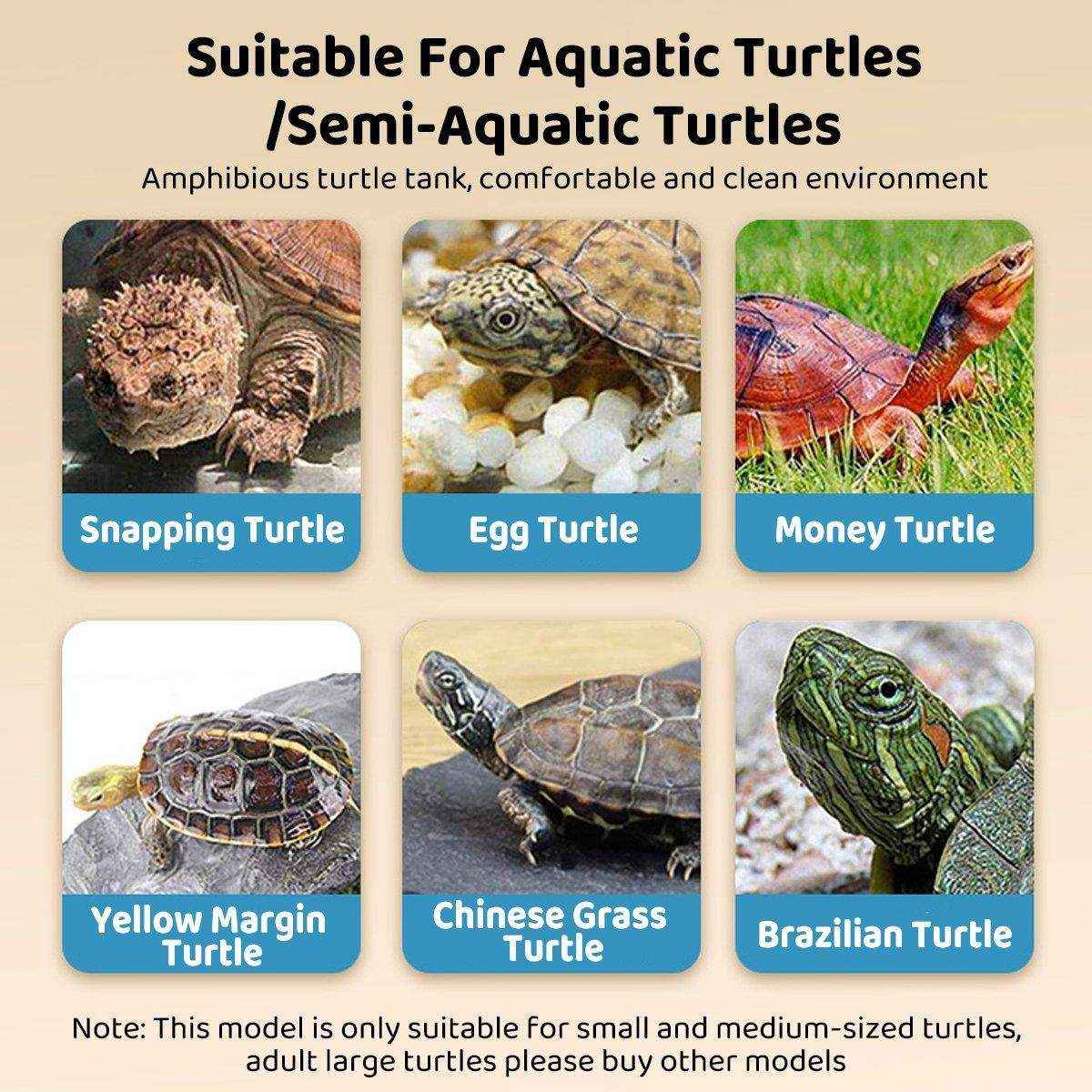 Luxury Turtle Tank - High-Walled Amphibious Habitat