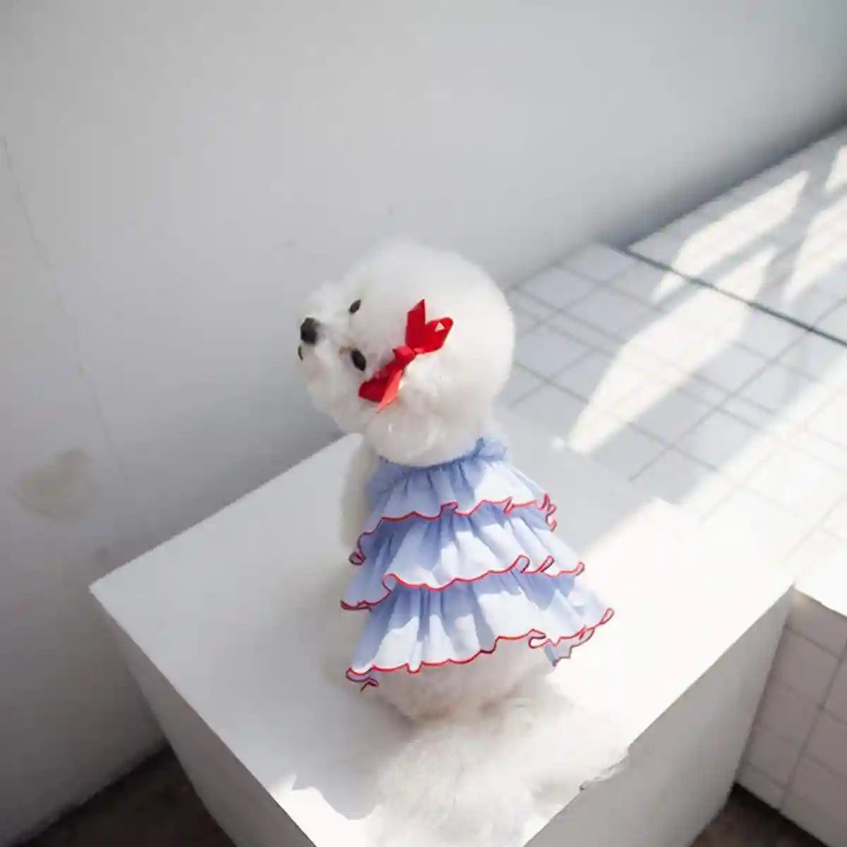 Summer Pet Princess Skirt Cat Dog Dress