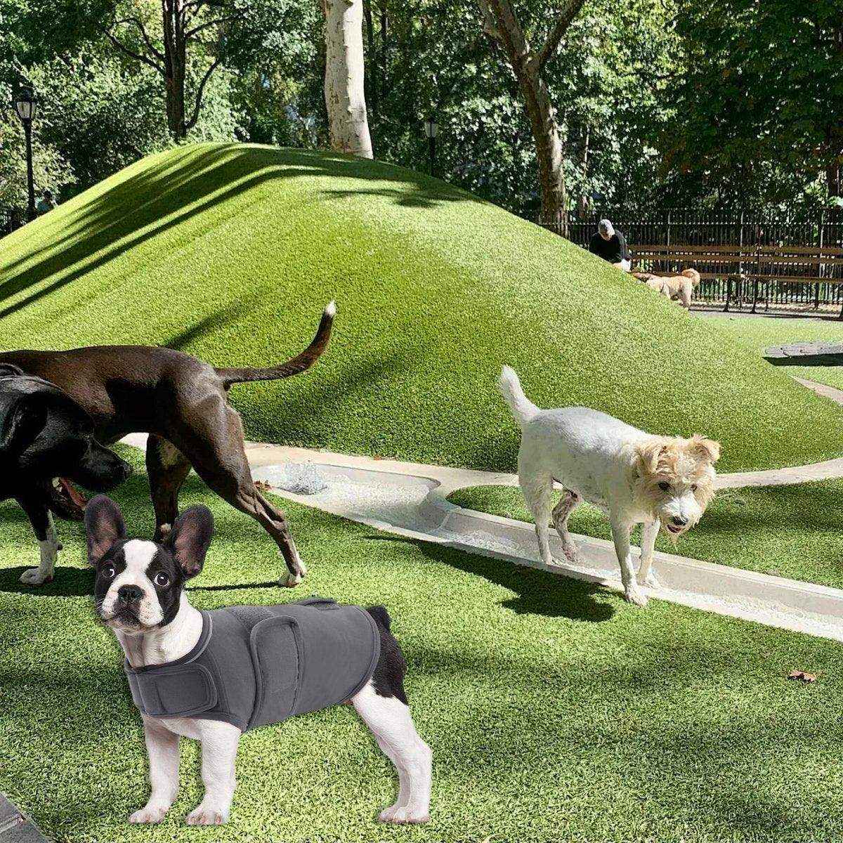 Dog Anxiety Relief Vest Calming & Adjustable with Reflective Strips