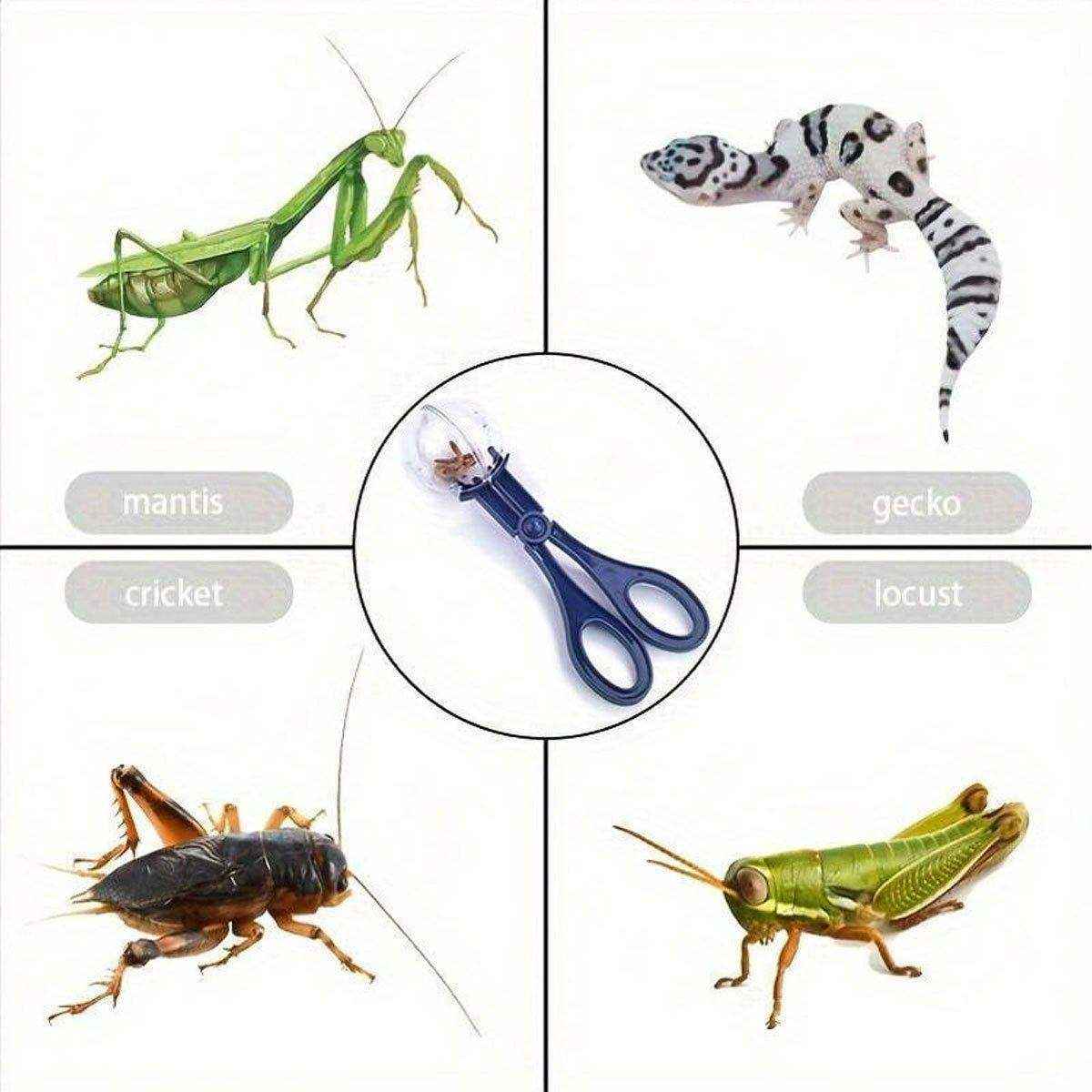 Outdoor Large Insect Catching Clip Insect Clip Catching Tool Clip