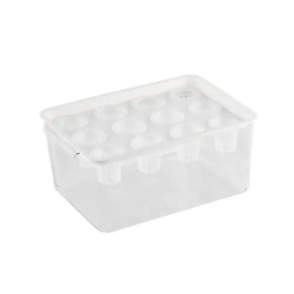 Transparent Rectangular Aquarium 12Hole Lid Portable Hydroponic Plant Fish Tank