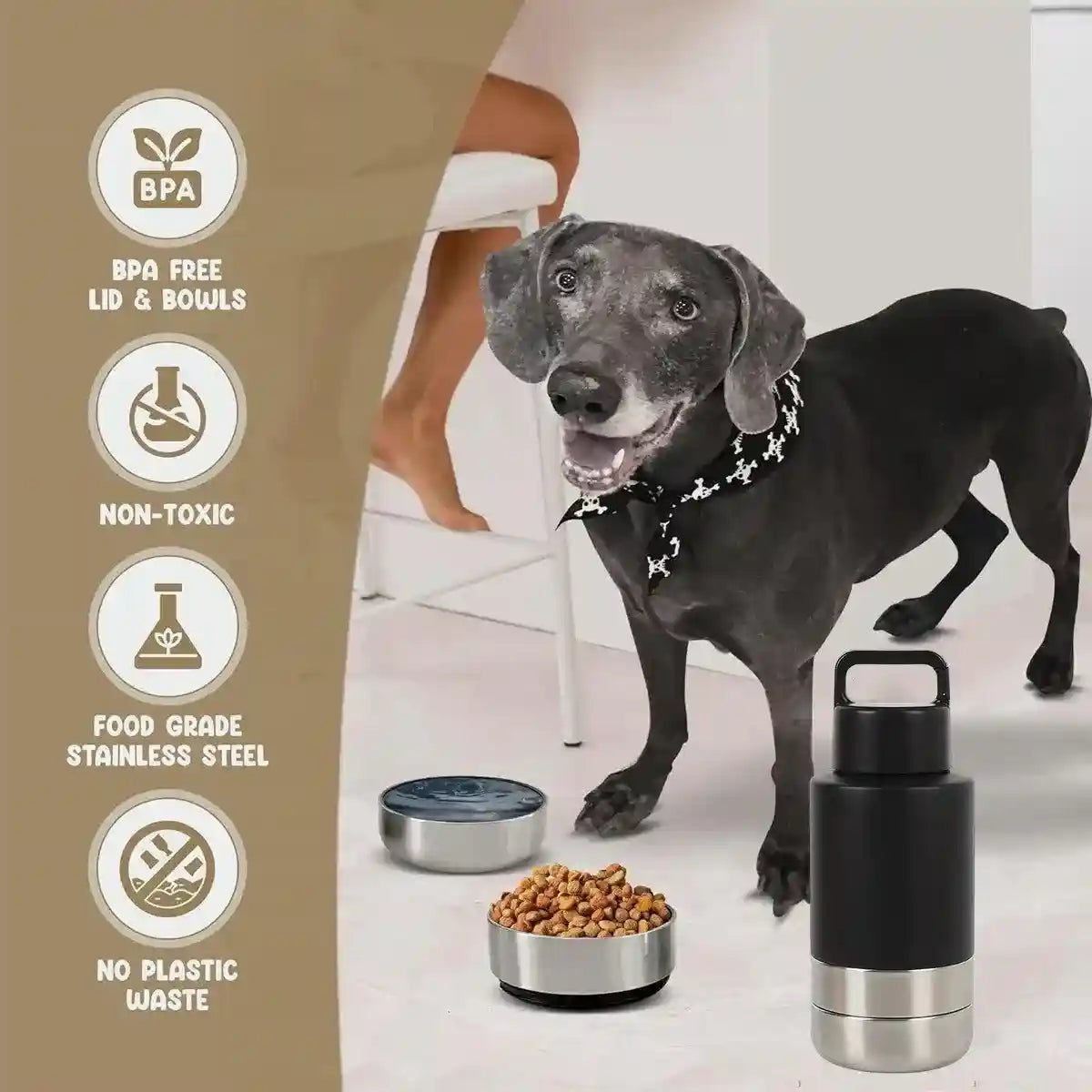 Stainless Steel Pet Thermos Portable Hydration & Food Bowl for Pets