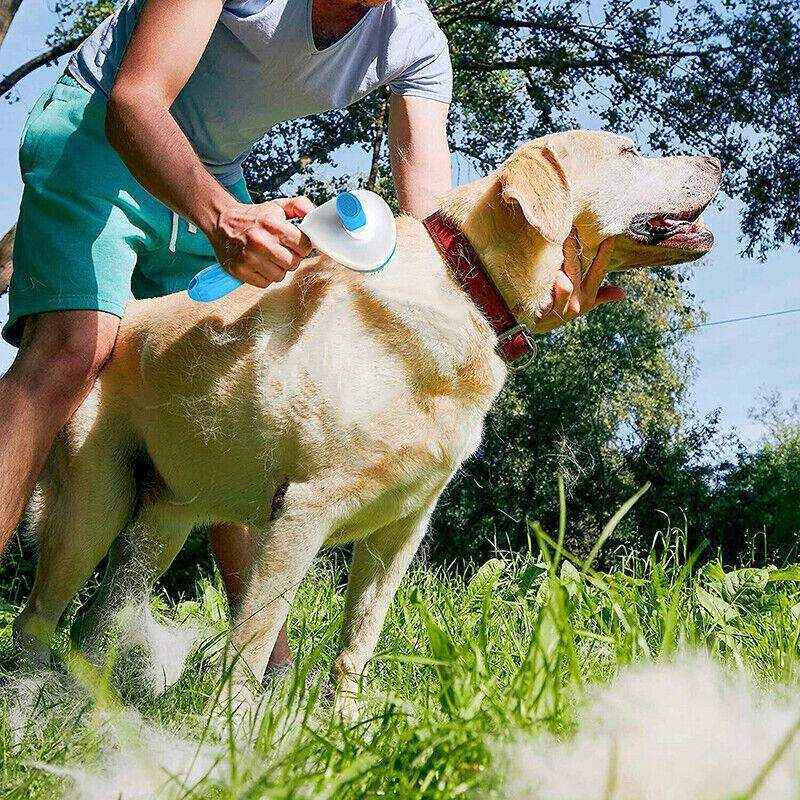 Dog and Cat Deshedding Brush for Effective Grooming