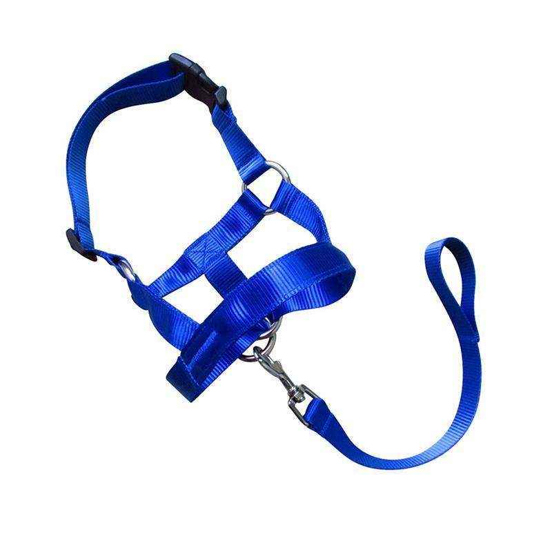 Adjustable Dog Muzzle Head Halter for Anti-Pull Training & Control