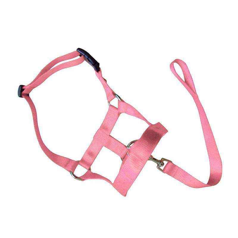 Adjustable Dog Muzzle Head Halter for Anti-Pull Training & Control