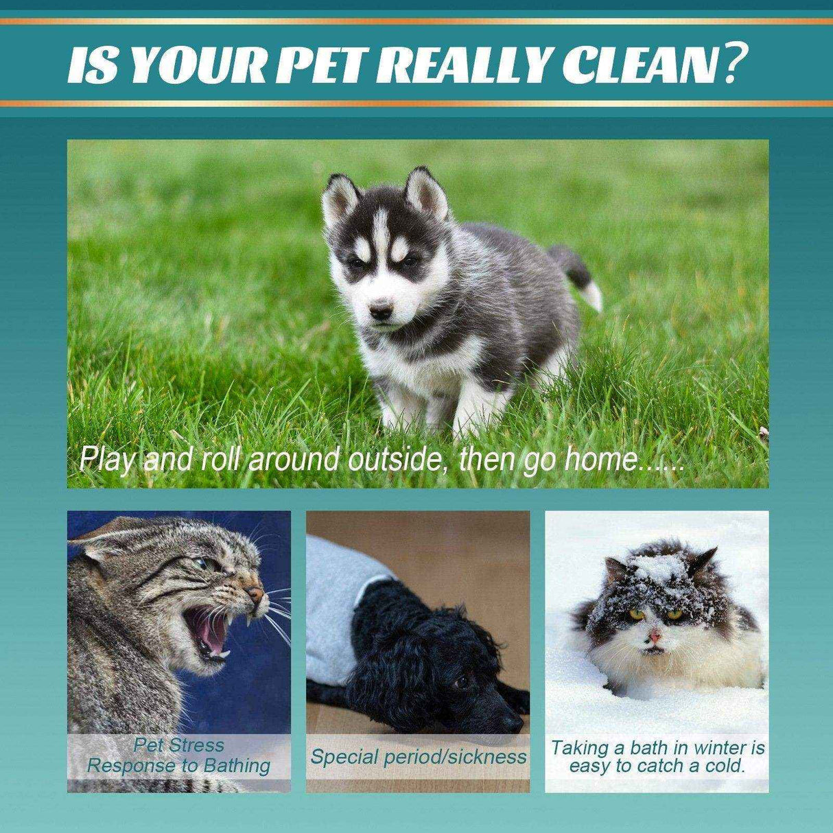 Pet Wash-free Cleaning Gloves