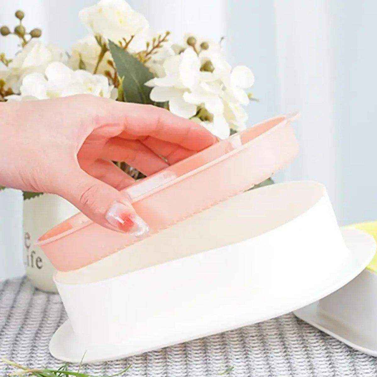 Stylish Hydroponic Catnip Growing Box