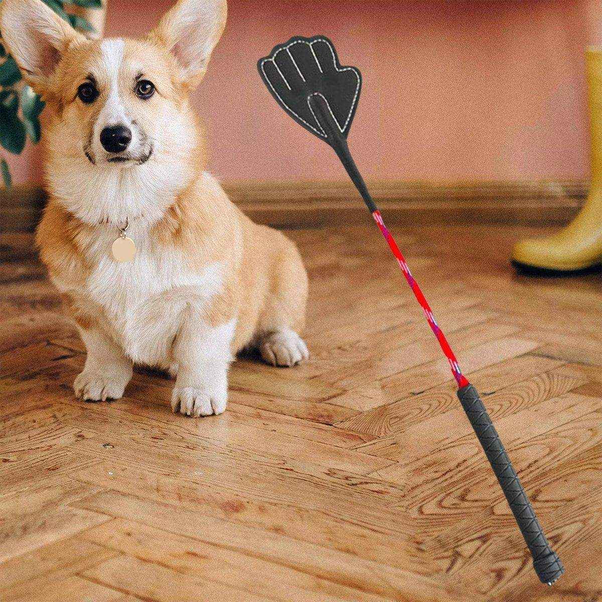 Flexible Dog Training Stick 43cm Soft Behavior Correction Tool for Pets