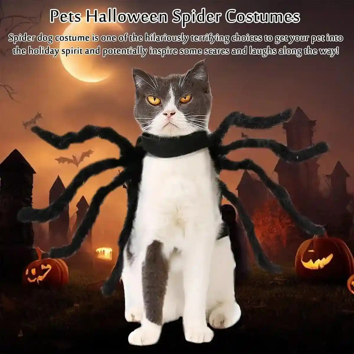 Halloween Pet Spider Costume Creepy & Cute Halloween Outfit for Pets