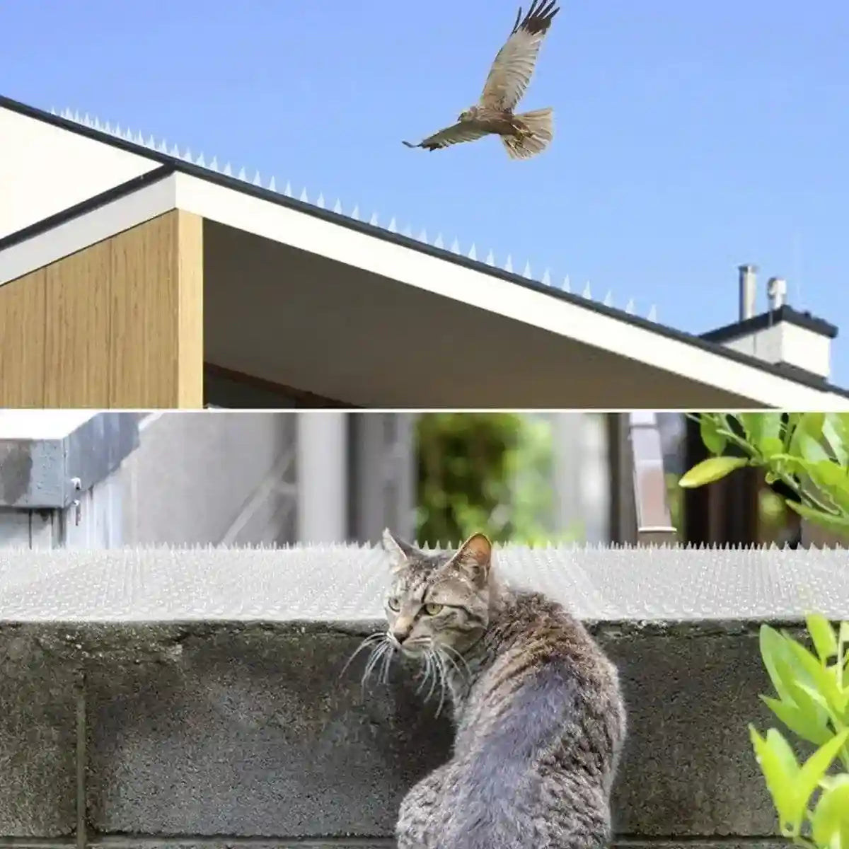 Transparent Bird Spikes Durable & Weatherproof Pest Deterrent for Outdoor Use