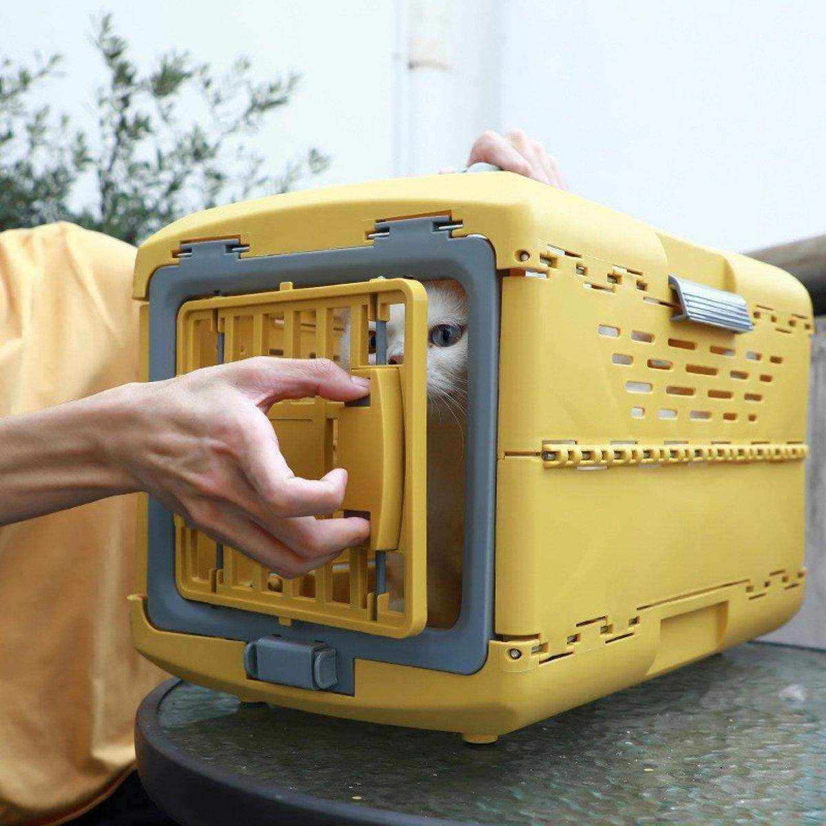 Pet Air Box Folding Portable Dog Cat Crate