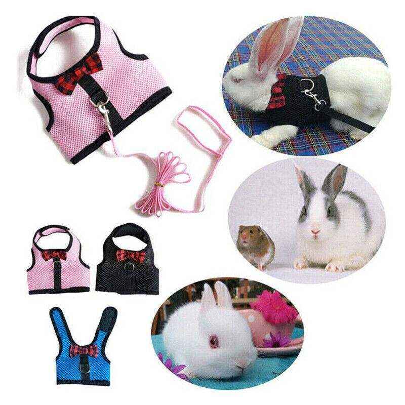Adjustable Mesh Rabbit Harness with Leash for Small Pets