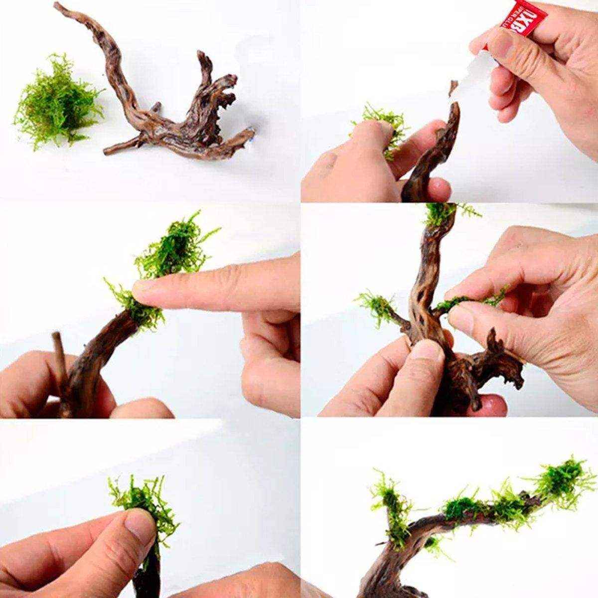 UP Yabo Glue Moss Aquaweed Seedwood Coral Glue Wholesale Grass and Moss Glue