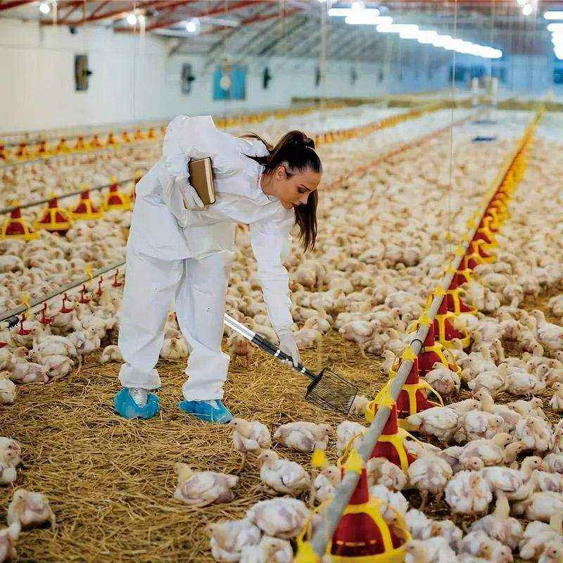 Metal Cat Litter Scoop with Long Handle