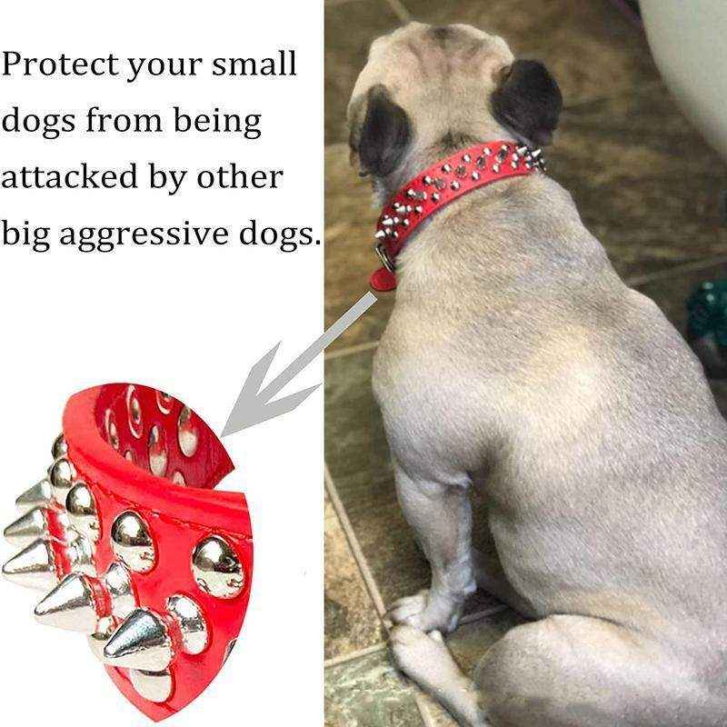 Studded Leather Dog Collar Stylish & Protective Designer Dog Collars