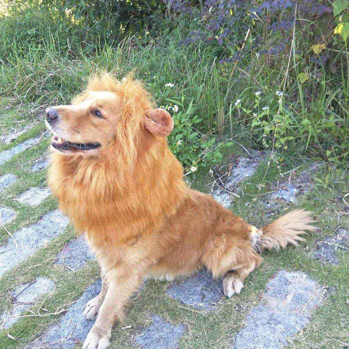 Lion Costume Mane Wig Large Dog Fancy Dress Up Party for Pet Halloween Clothes