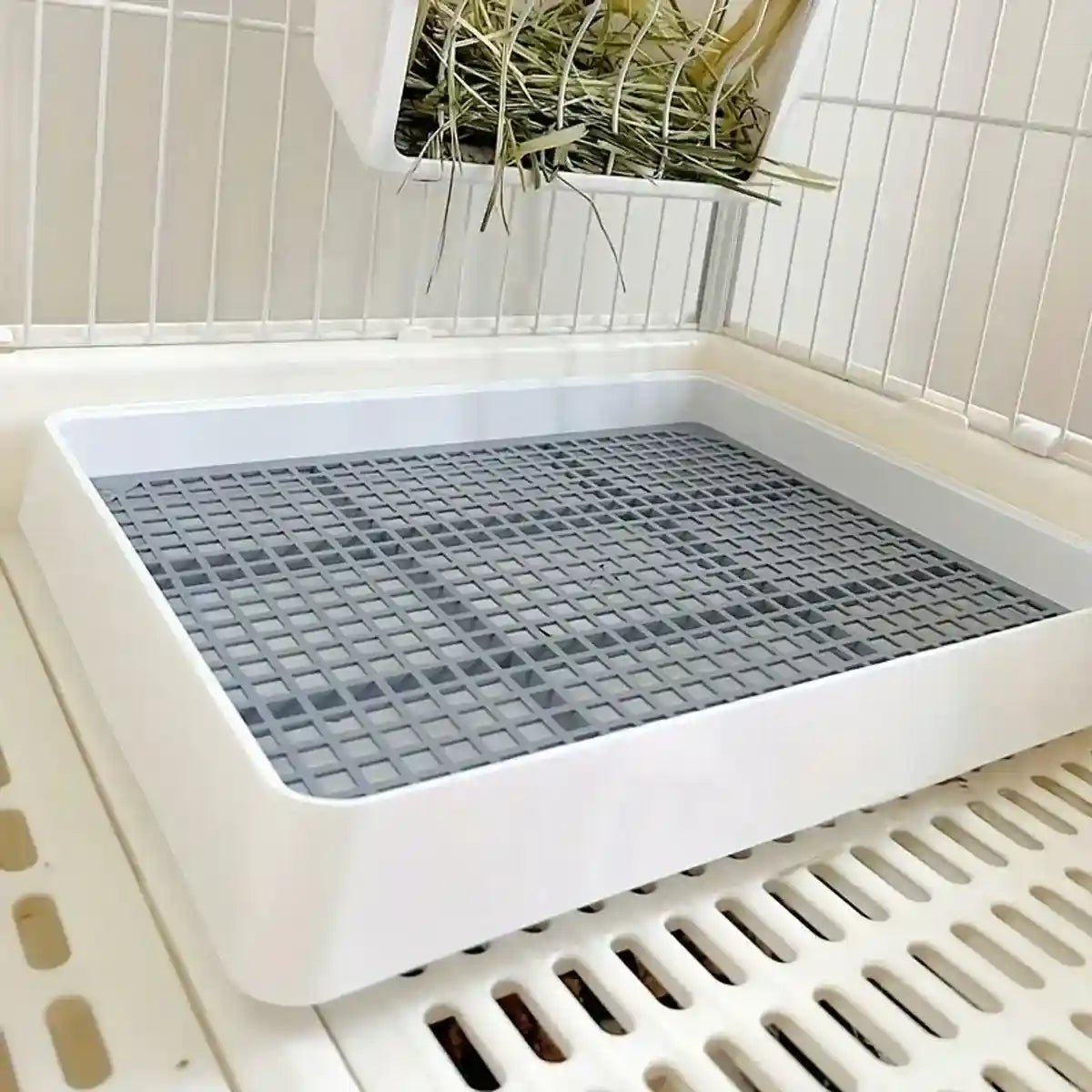 Large Rabbit Litter Box with High-Sided Design