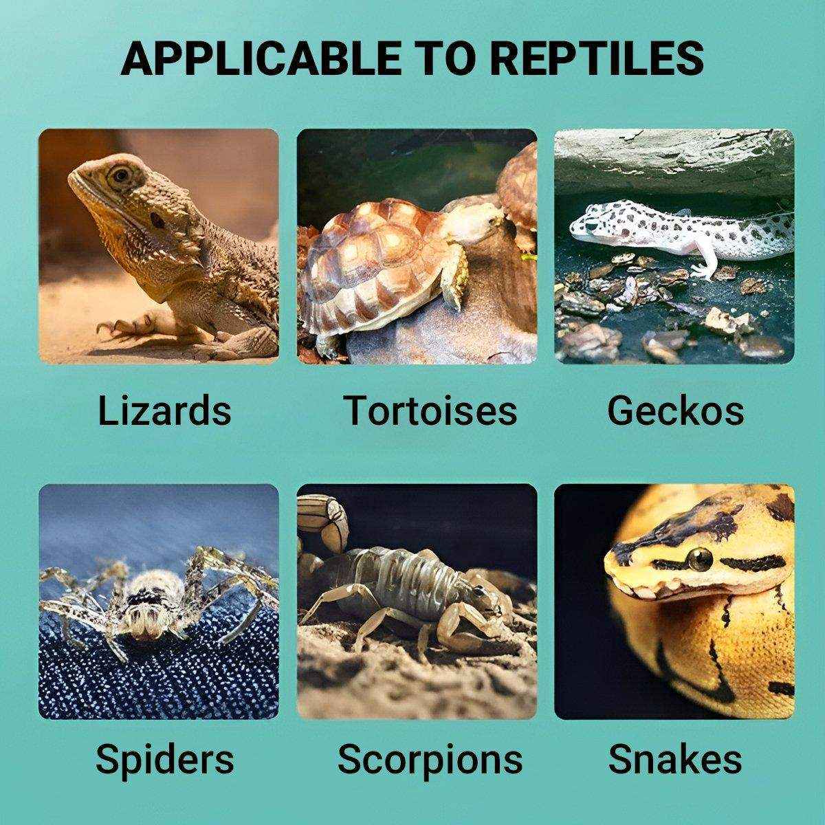 SuperRep Reptile Sand Climbing Sand Calcium Sand for Lizard Tortoise Hibernation