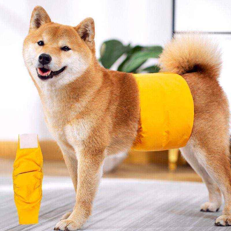 Comfortable Menstrual Pants for Dogs with Breathable Cotton Design