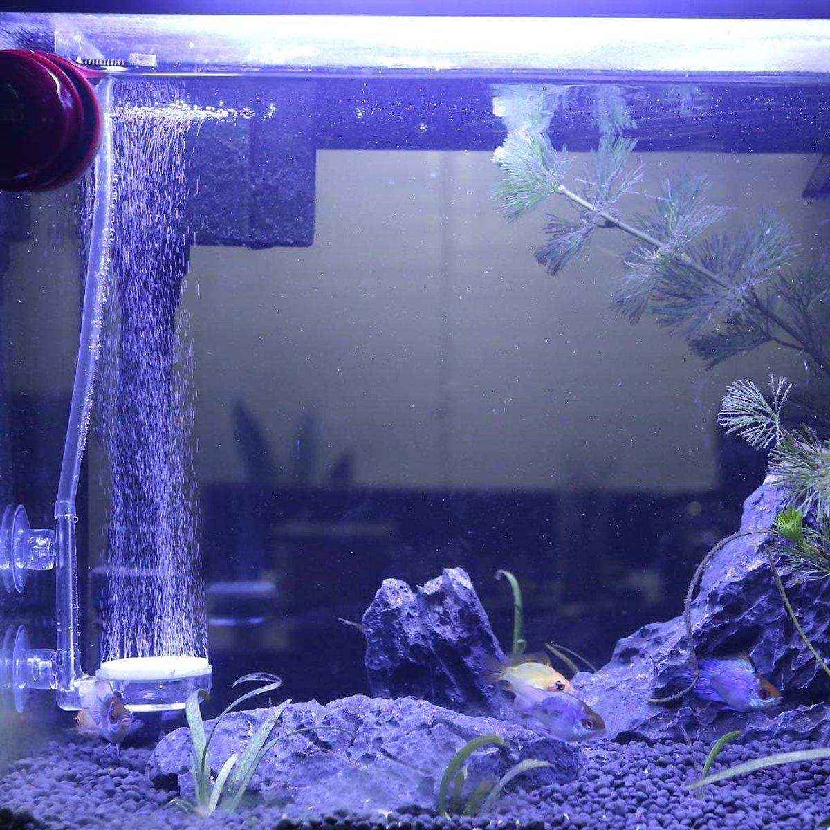 Bubble Stone Aerator Head for Aquarium Efficient Bubbler for Oxygenation