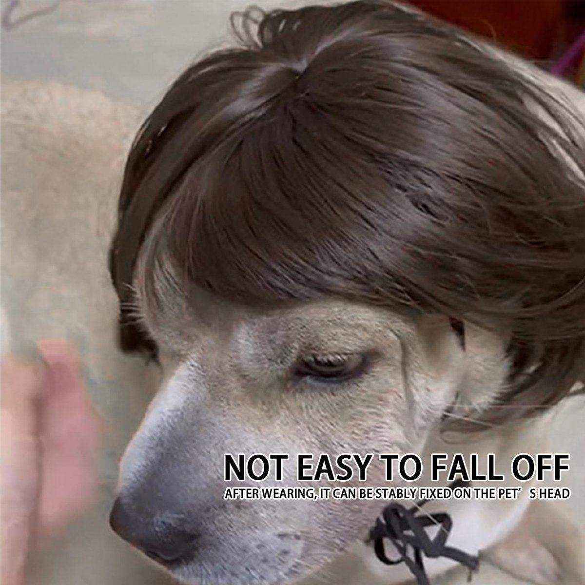Stylish Funny Pet Wig With Bangs Fun and Comfortable