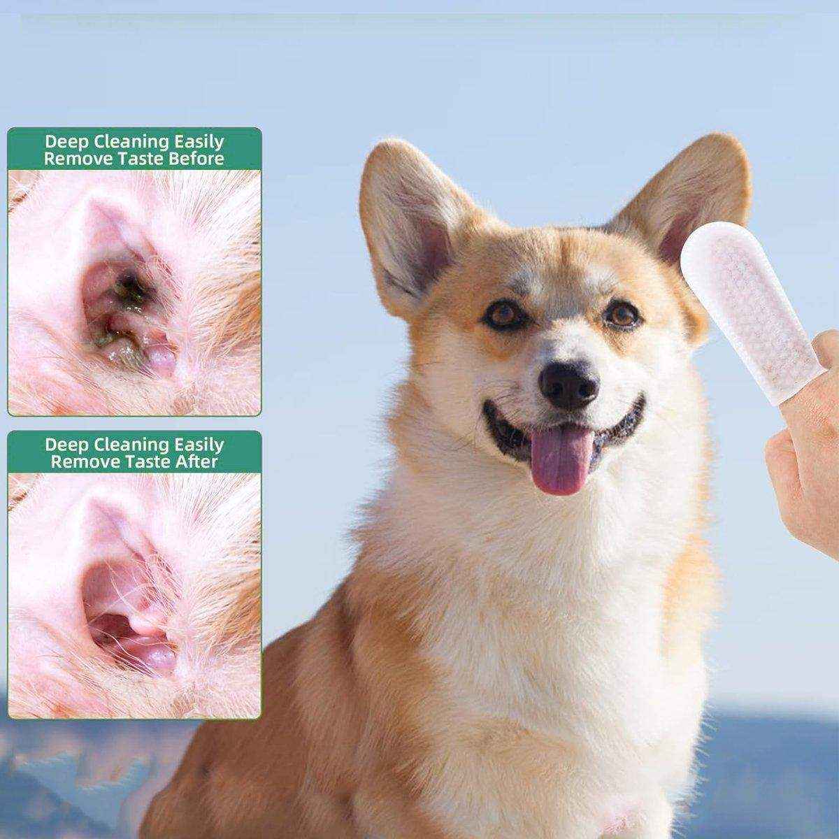 20pcs Maintain Pet Dental Health with Pet Tooth Cleaning Finger Sets