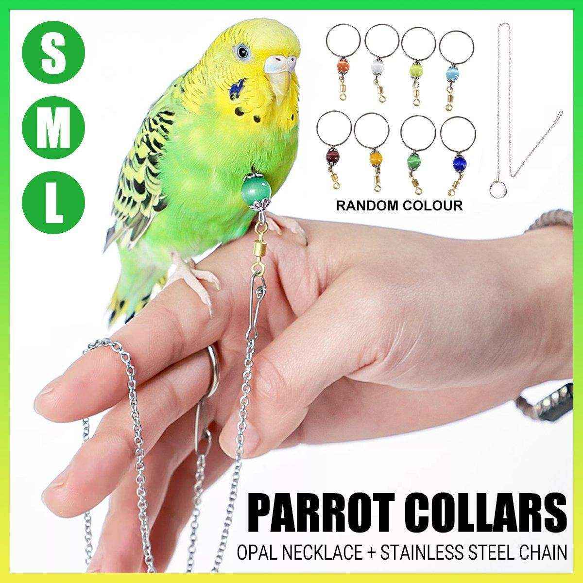 Adjustable Parrot Collar with Opal Necklace and Stainless Steel Chain