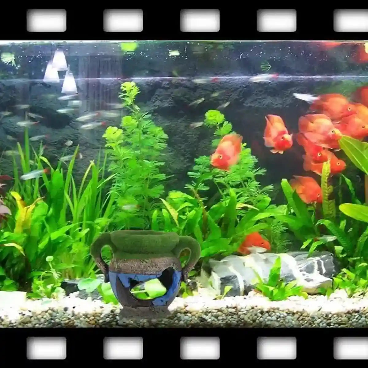 Aquarium Moss Vase Resin Fish & Shrimp Hiding Decoration