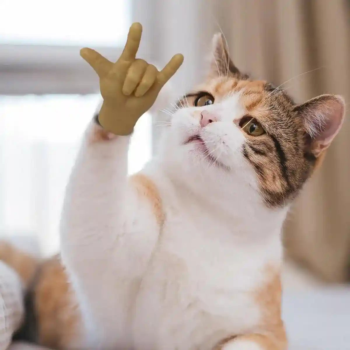 6PCS Cute Cat Finger Covers Soft Rubber Stretchy Mini Simulation Hands Fun Toy