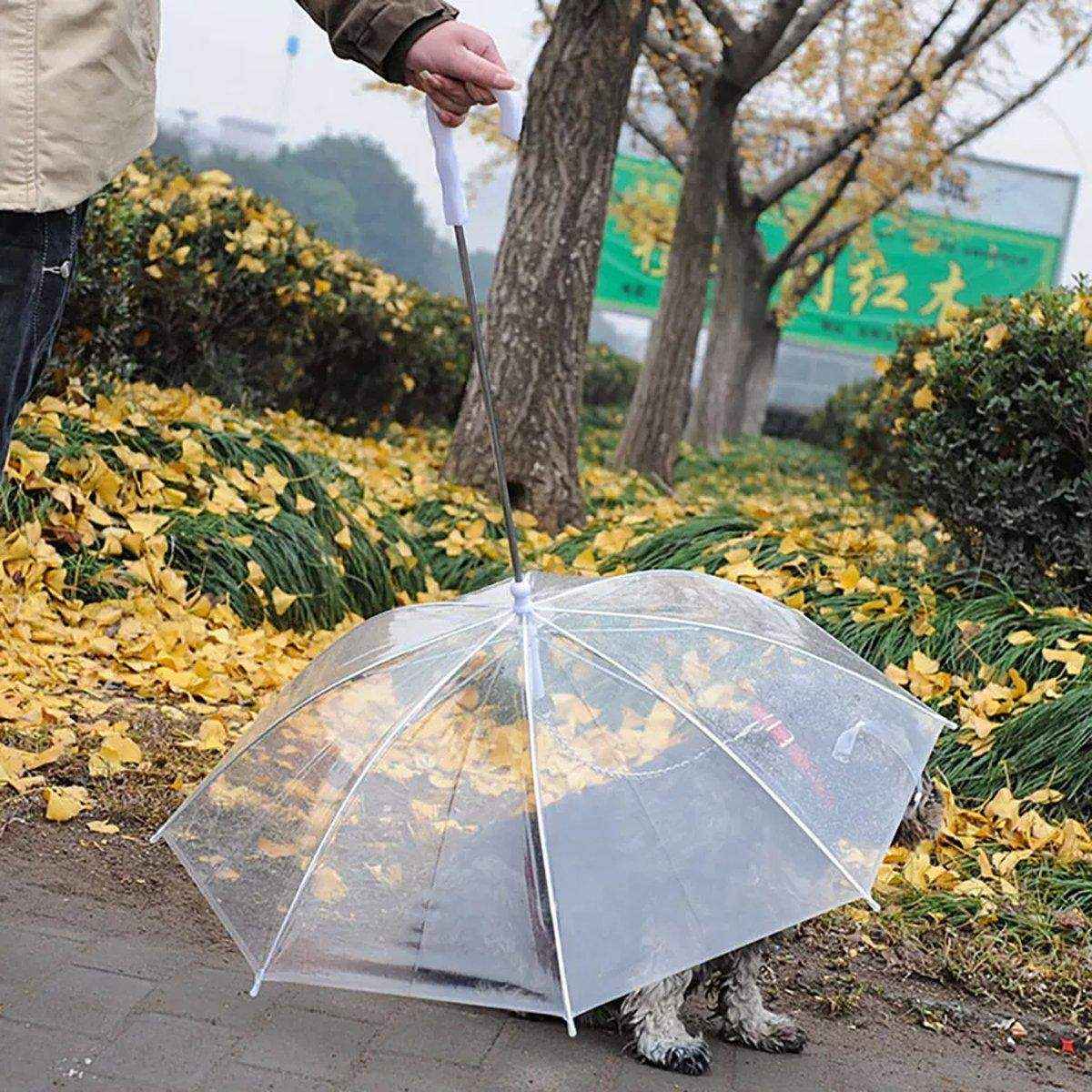 Pet Umbrella with Leash Attachment Keep Your Dog Dry in Style