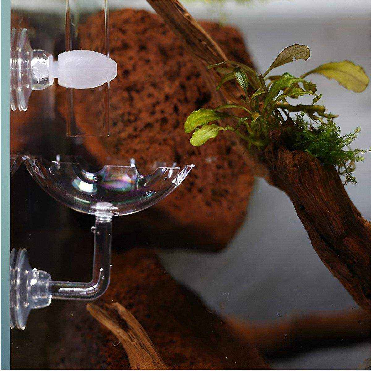 Aquarium Fish Tank Shrimp Food Feeder Clear Arylic Feeding Dish Fish Tank Feeder
