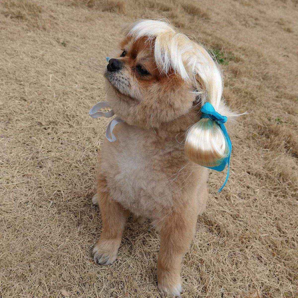 Stylish Funny Pet Wig With Bangs Fun and Comfortable