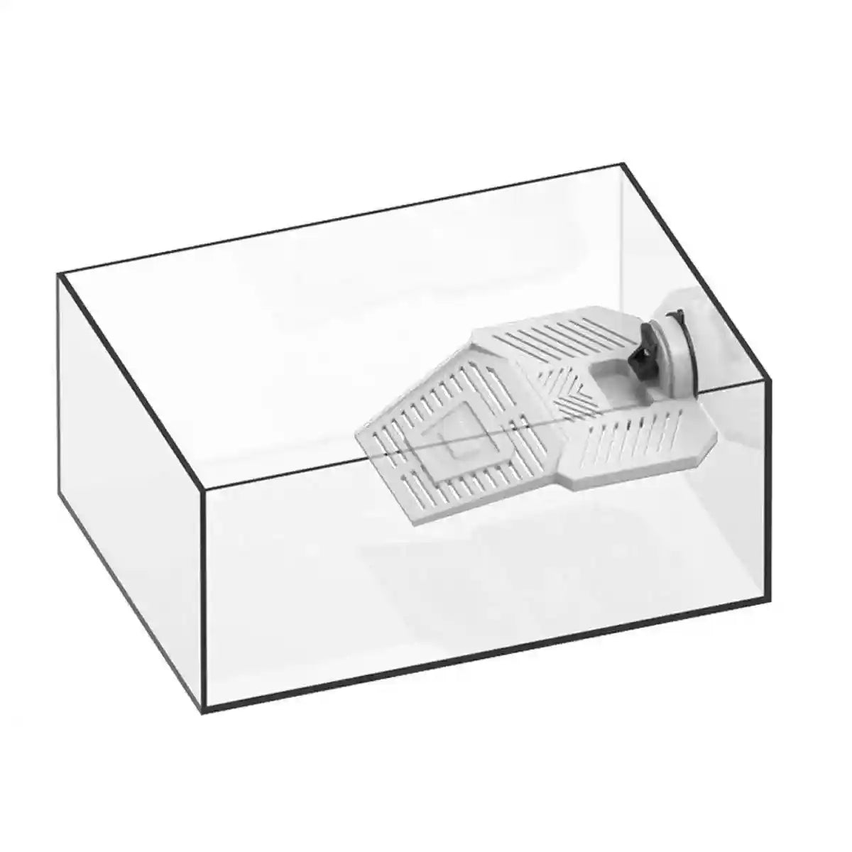 Detachable Tortoise Drying Platform with Climbing Ramp