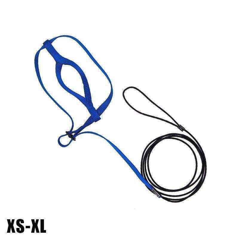 Outdoor Parrot Harness with Adjustable Bird Leash for Safe Flying