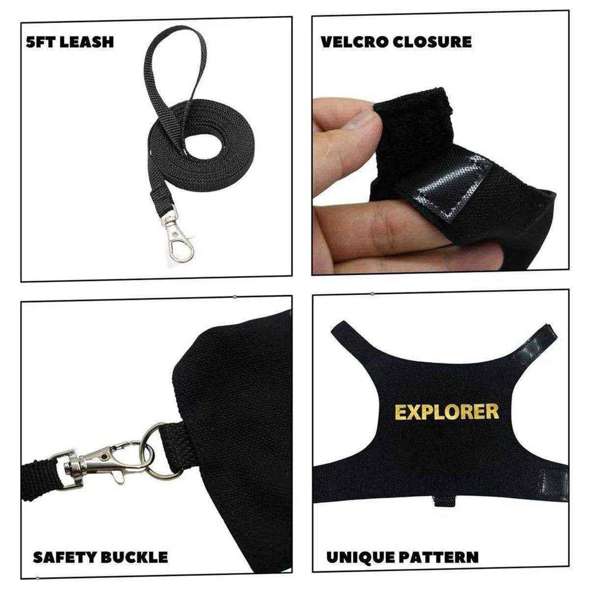 Lizard Leash Climbing Pet Out Chest Strap Chameleon Squirrel Leash