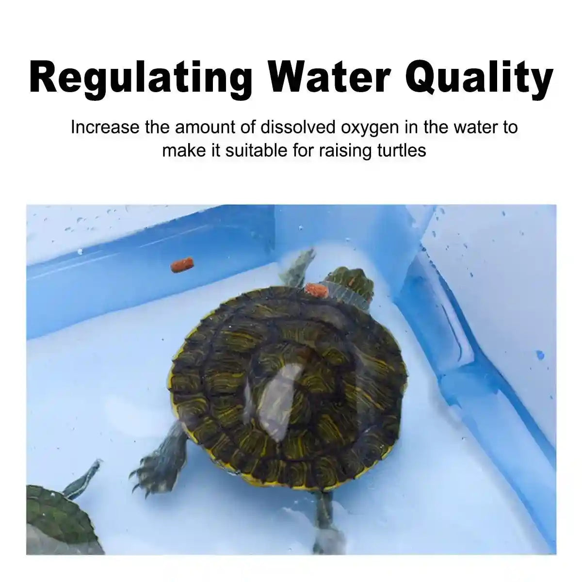 Water Quality Stabilizer for Fish & Turtle Tanks 250ml