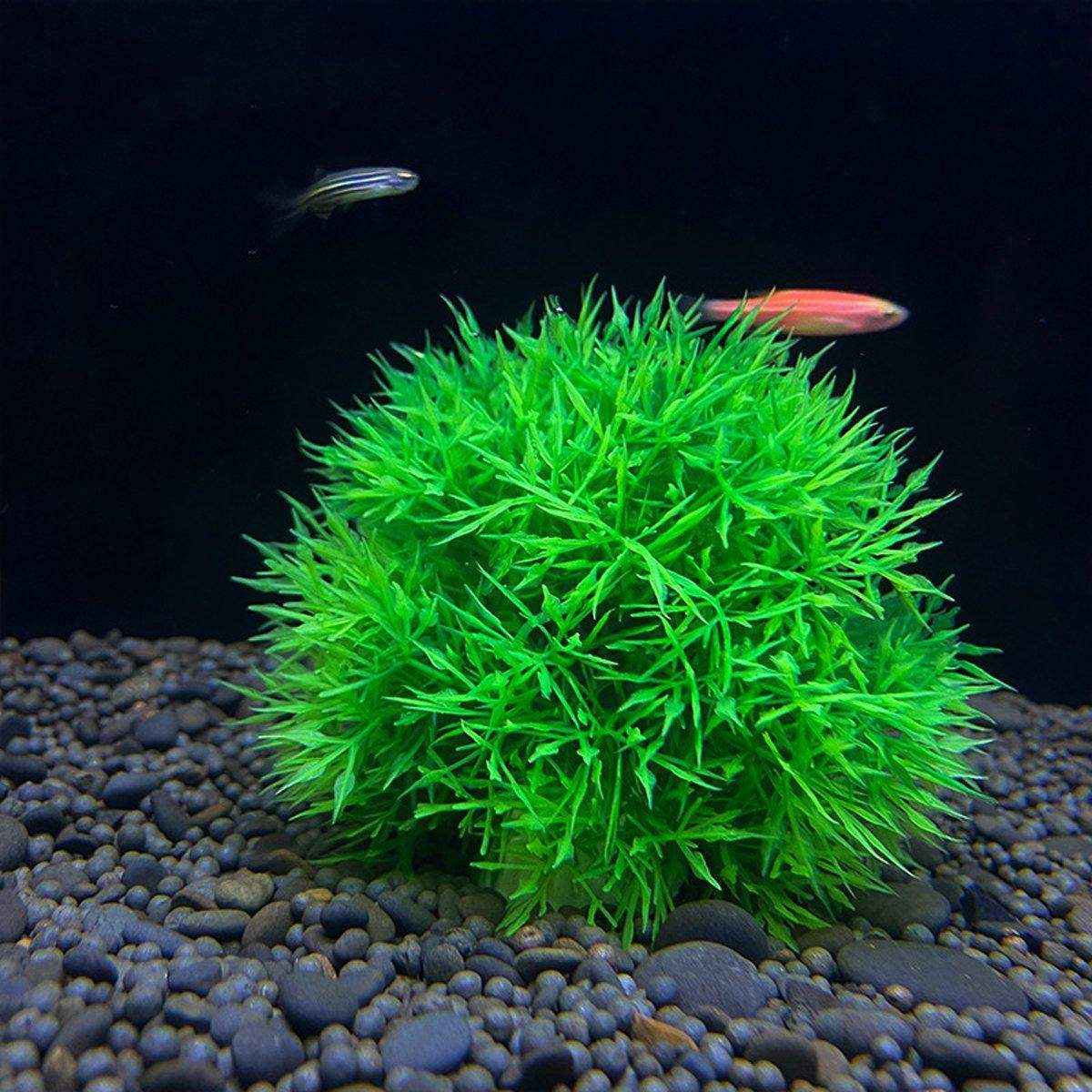 Artificial Aquarium Plants Lifelike Artificial Aquarium Grass Balls