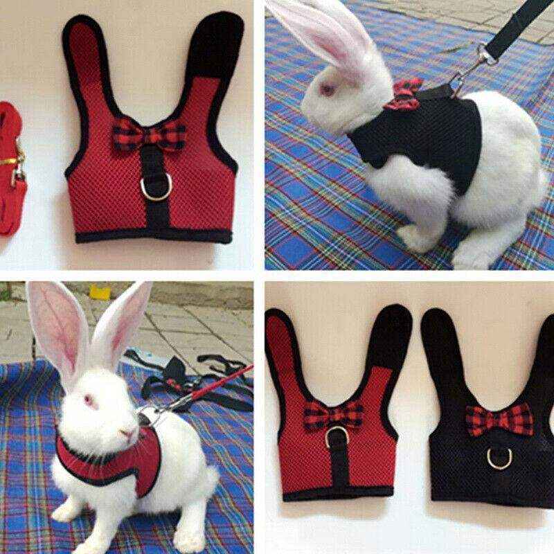 Adjustable Mesh Rabbit Harness with Leash for Small Pets