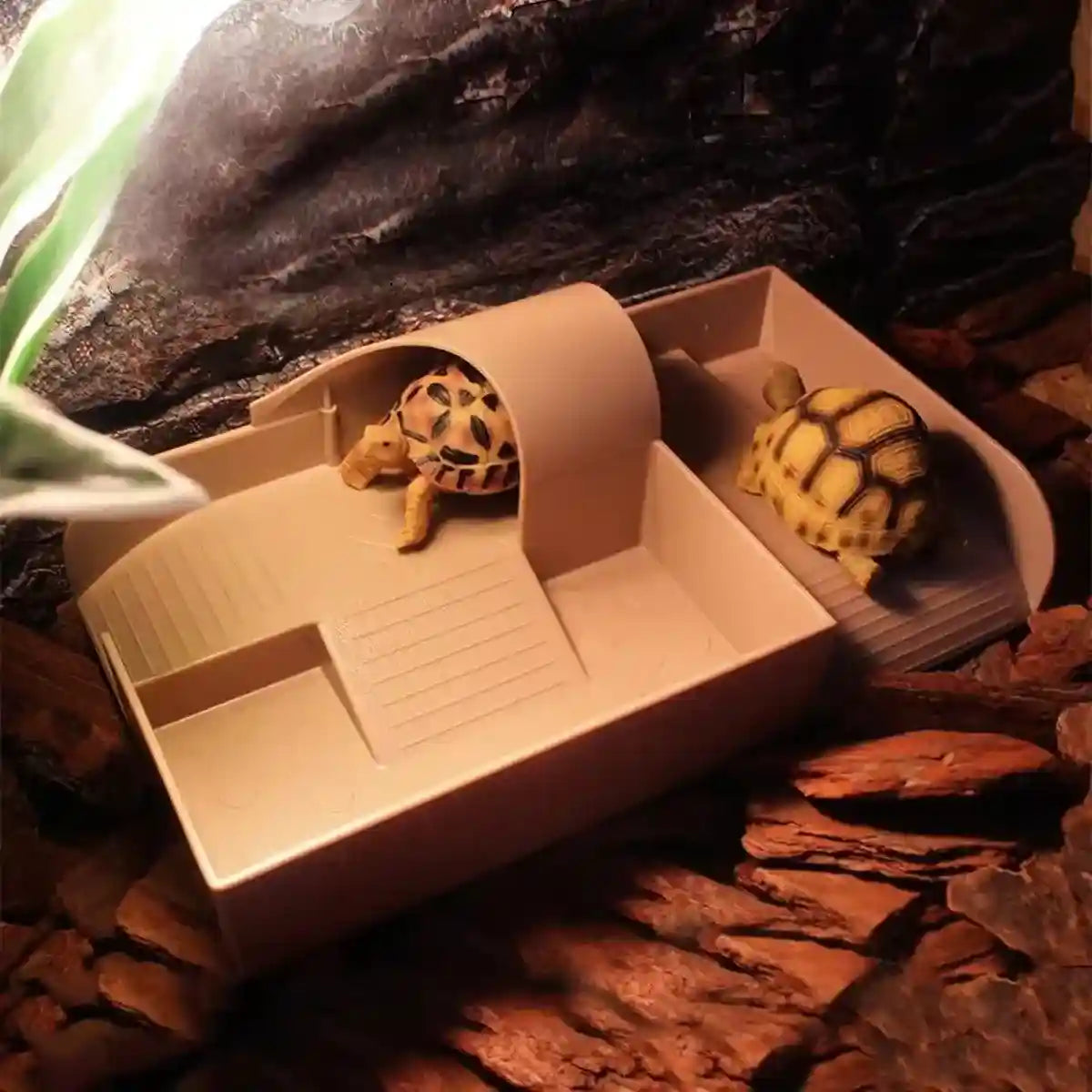 Tortoise Habitat Climbing Platform Durable & Multi-Functional Design