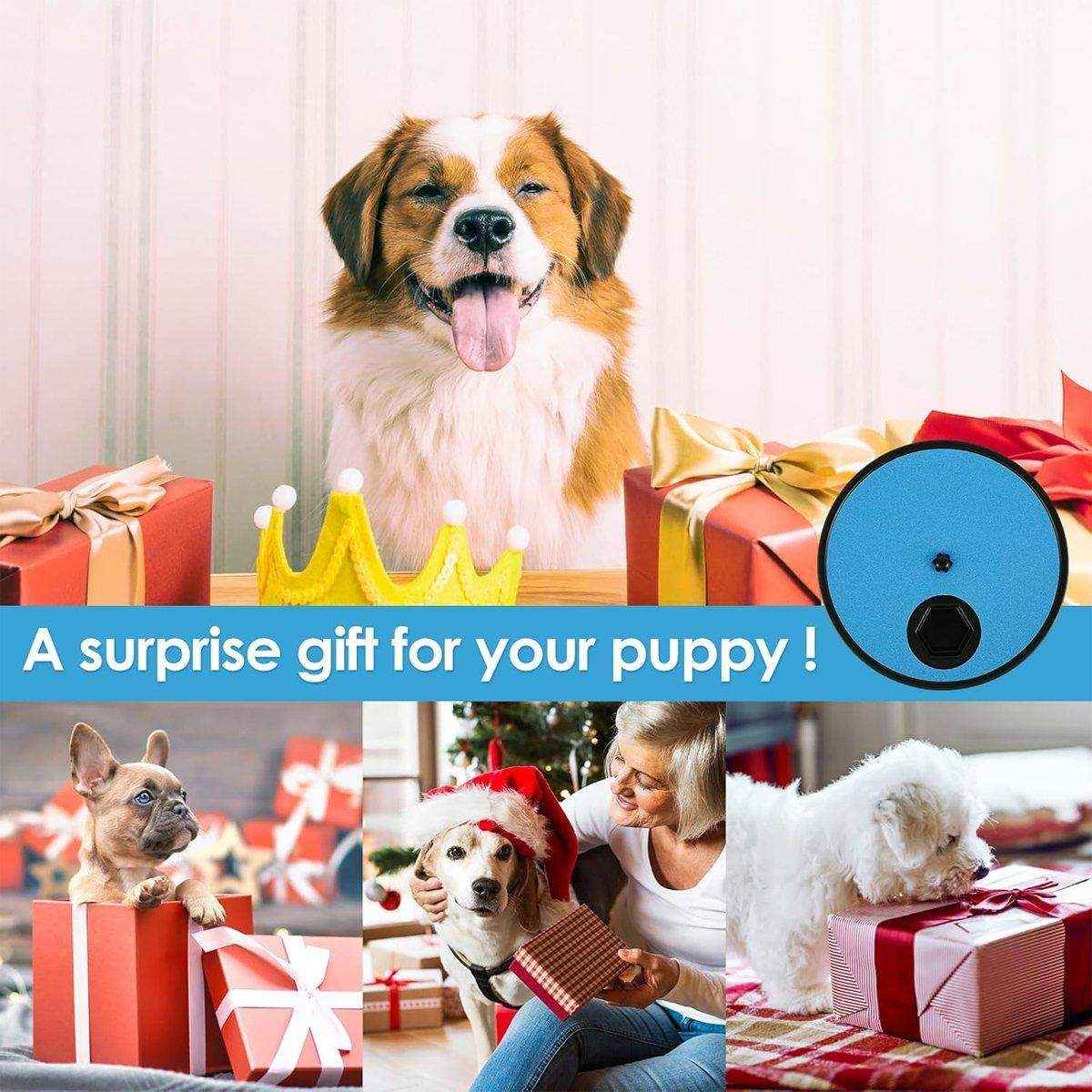 Rotating Dog Nail File Board with Snack Box for Stress-Free Grooming