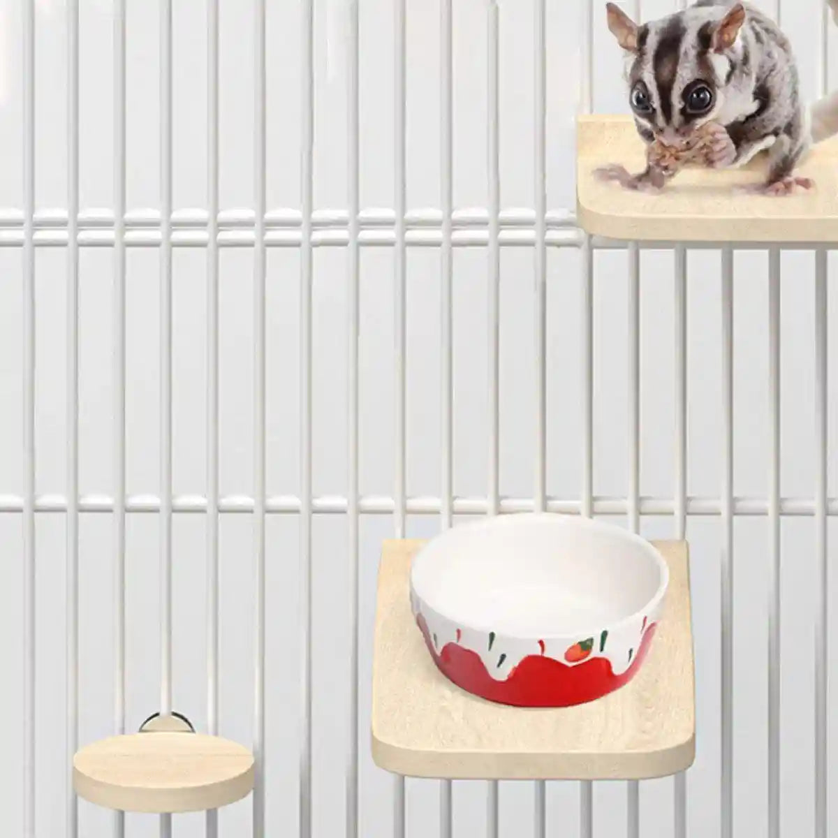 Natural Wooden Pet Platform Set – 5 Styles for Hamster Cage Customization