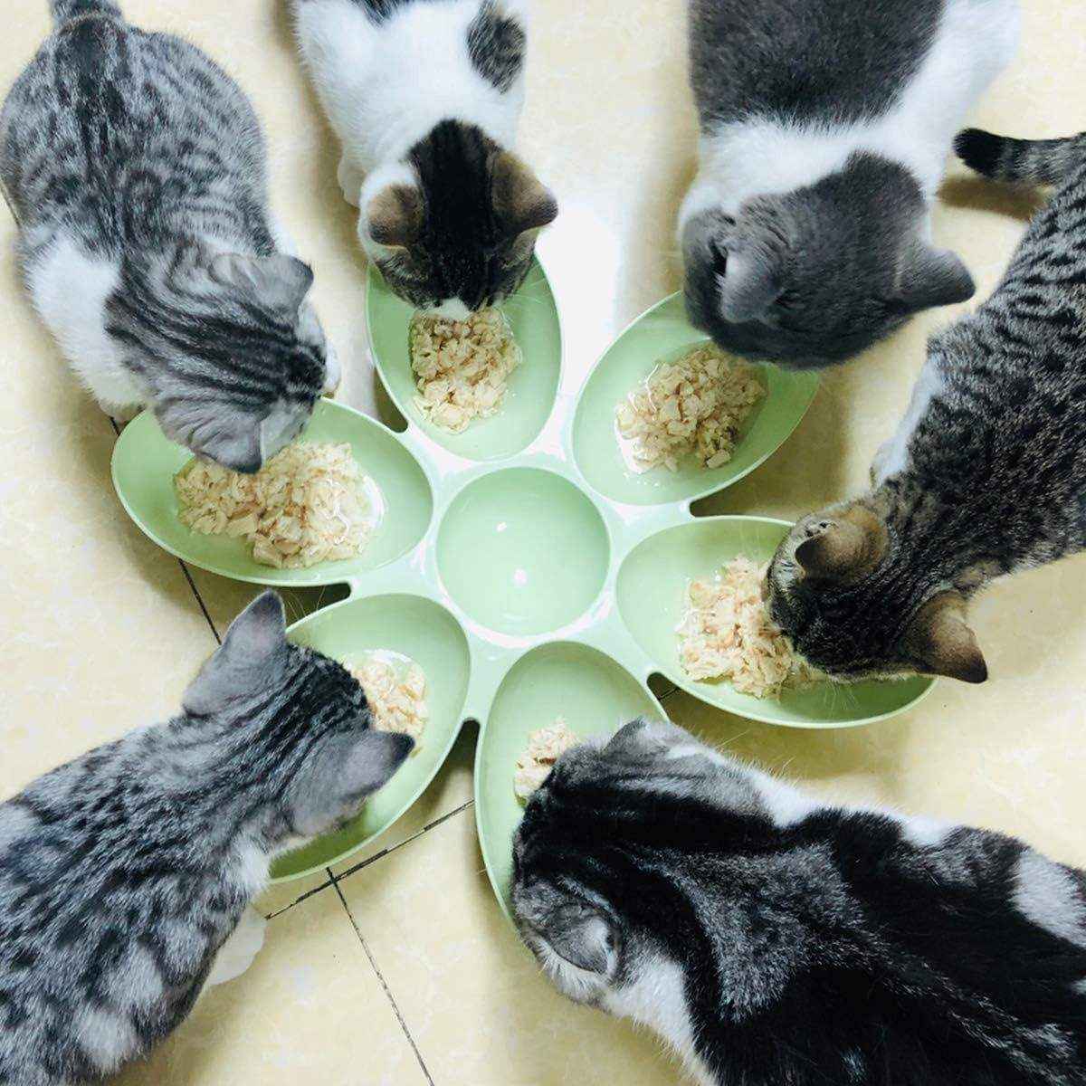 Petal-Shaped Multi-Cat Feeding Bowl